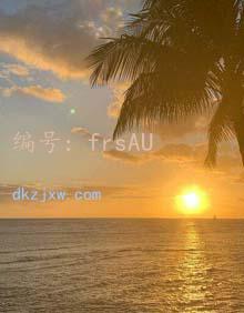 ḻ