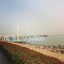 ɹ
